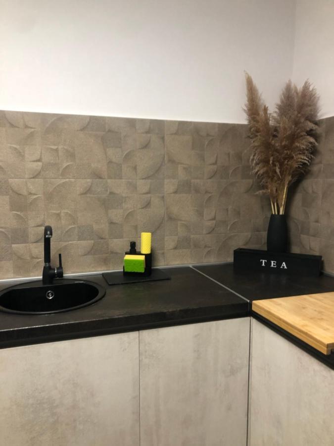 Studio Apartman Avenija *** スラヴォンスキ・ブロド エクステリア 写真